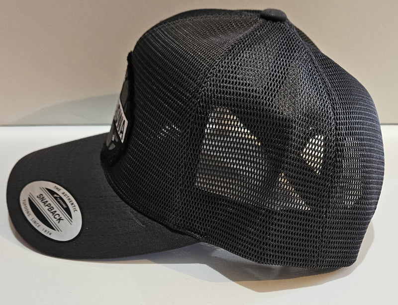 Load image into Gallery viewer, Trucker Cap - Snapback - Gray Mesh - Fray Patch
