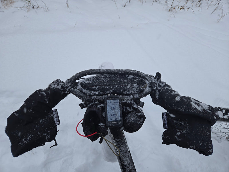 Load image into Gallery viewer, POGIE LITES
